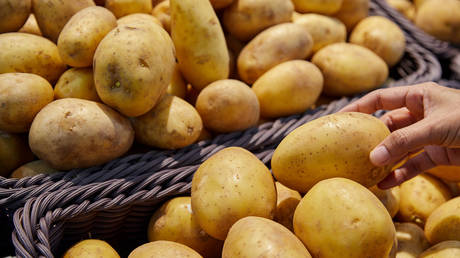 Potato futures are soaring – should the world be worried?