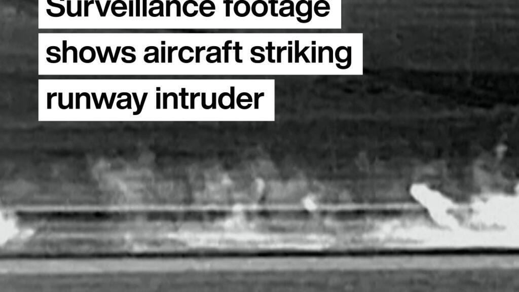 Denver airport: Surveillance footage shows moment aircraft fatally struck runway intruder