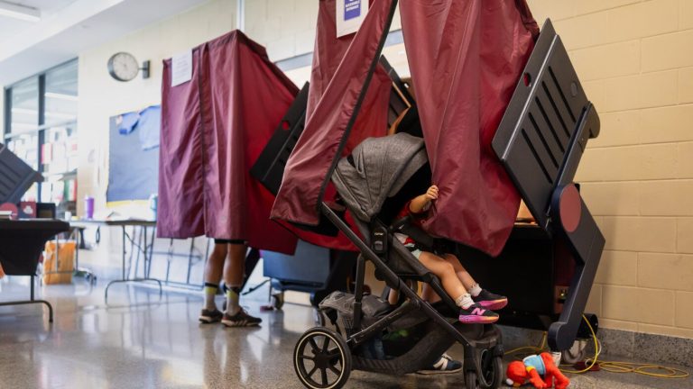 Replacing aging U.S. voting equipment will take years and billions of dollars