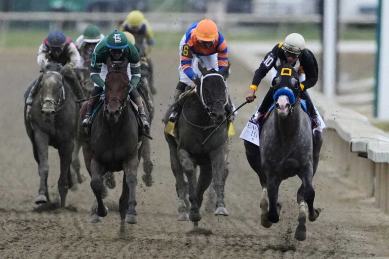 APTOPIX Preakness Horse Racing
