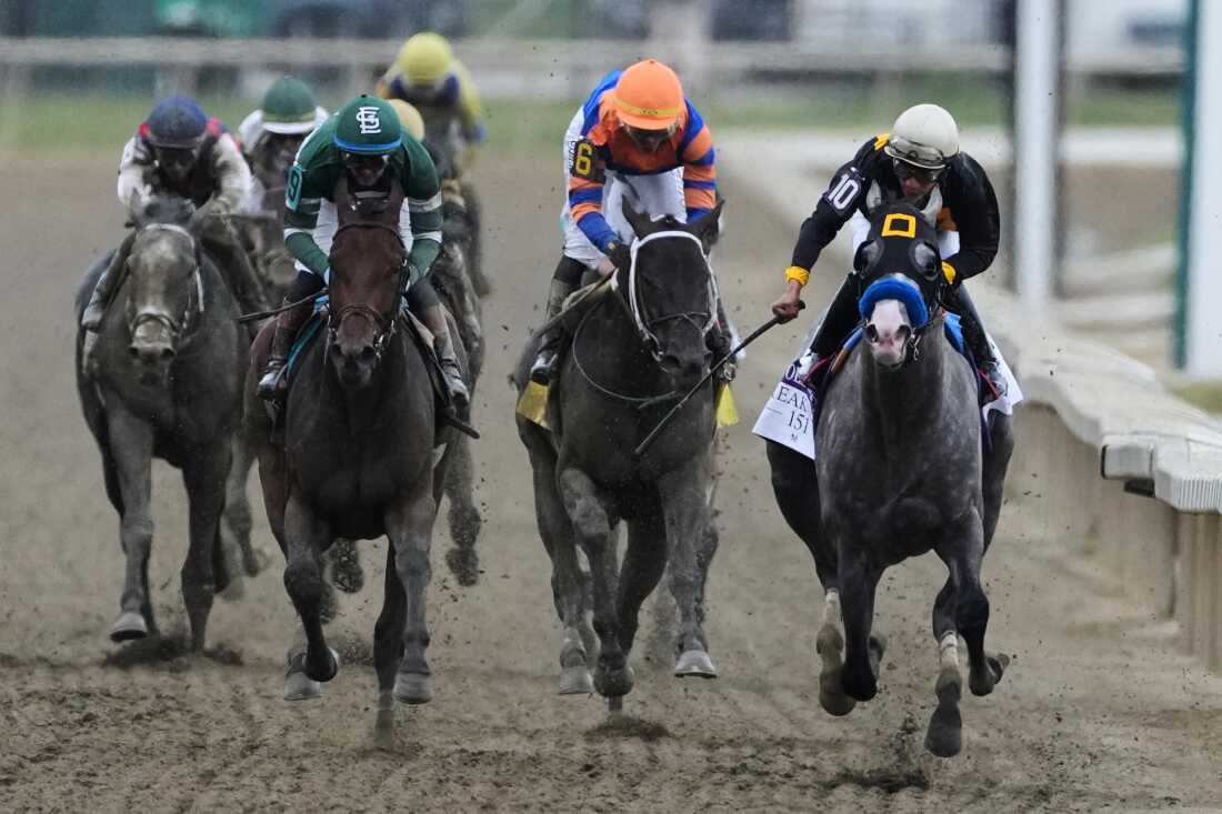 APTOPIX Preakness Horse Racing
