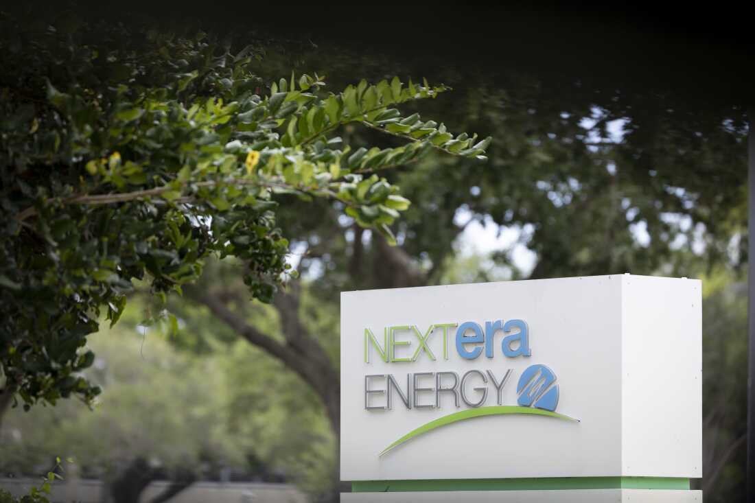 Why you should care about 2 power companies merging. Hint: affordability