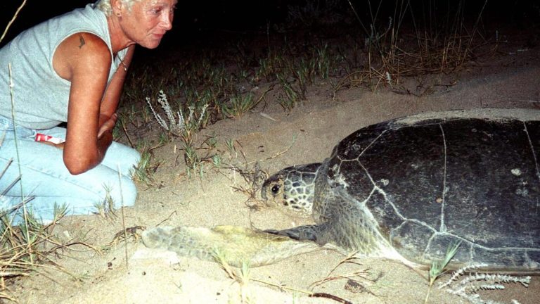 Leading Lebanese conservationist dies after Israeli airstrike on her home